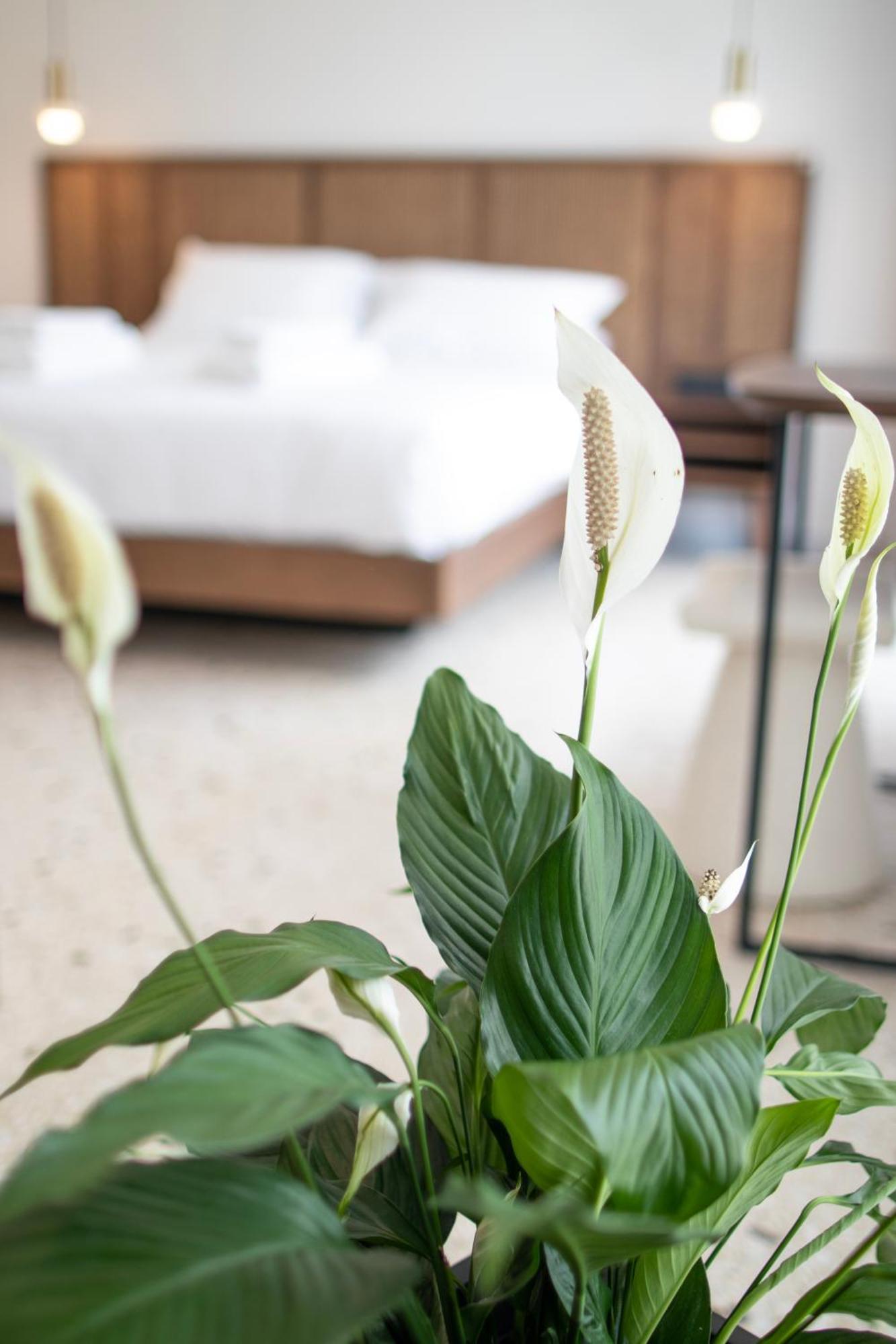 Mythodea Athens Suites Екстер'єр фото
